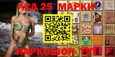 шишки Гай
