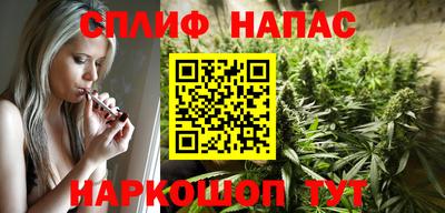 шишки Гай