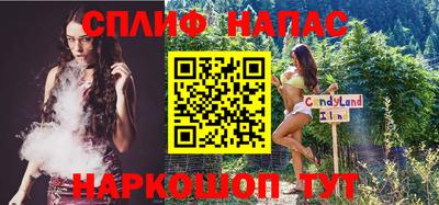 шишки Гай
