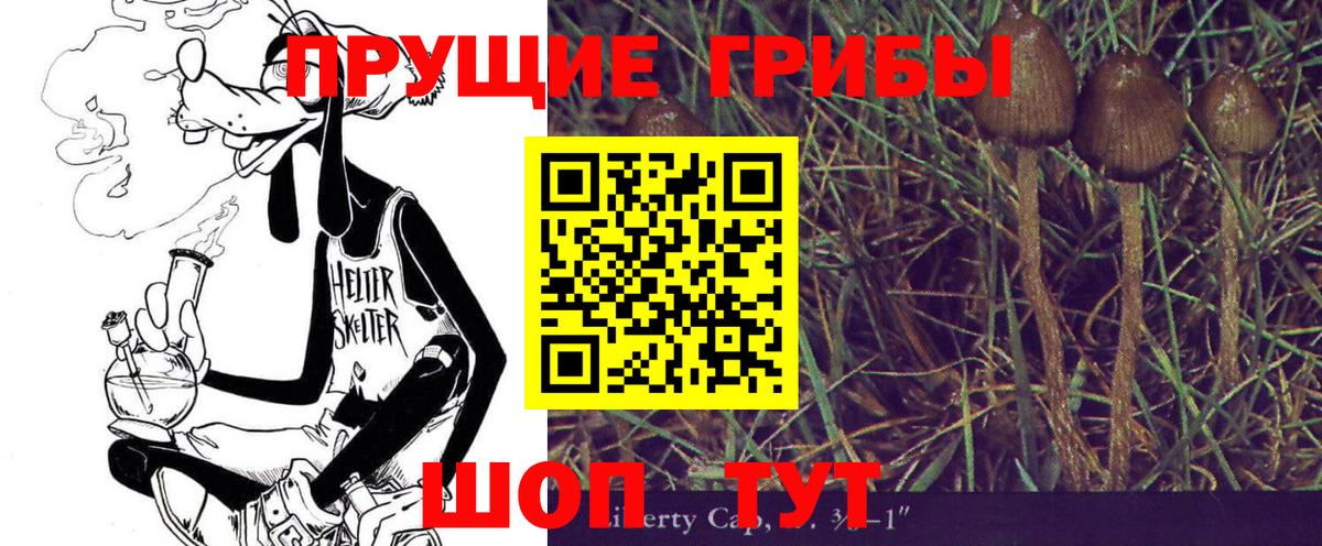 Обь  Галлюциногенные грибы GOLDEN TEACHER  Галлюциногенные грибы MAGIC MUSHROOMS  Вход с VPN 